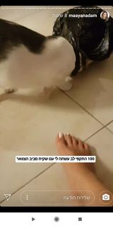 Maayan Adam feet photo 4