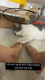 Maayan Adam feet photo 13