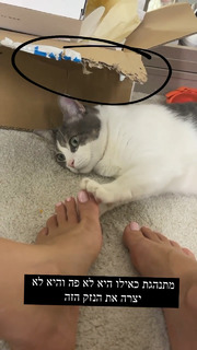 Maayan Adam feet photo 12