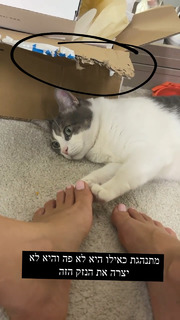 Maayan Adam feet photo 11