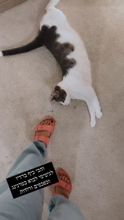 Maayan Adam feet photo 5