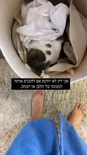 Maayan Adam feet photo 11