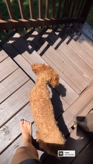 MacKenzie Porter feet photo 8