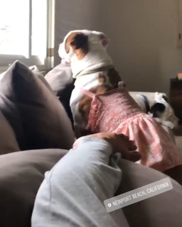 Mackenzie Dern feet photo thumbnail