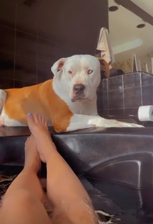 Mackenzie Dern feet photo thumbnail