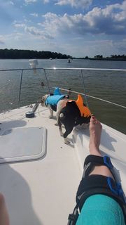 Mackenzie Rosman feet photo thumbnail