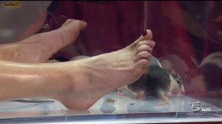 Maddalena Corvaglia feet photo thumbnail