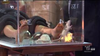 Maddalena Corvaglia feet photo thumbnail