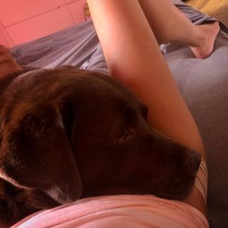 Maddalena Corvaglia feet photo thumbnail