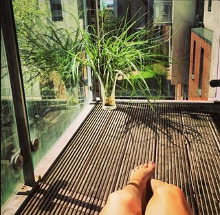 Maddison Jaizani feet photo 2