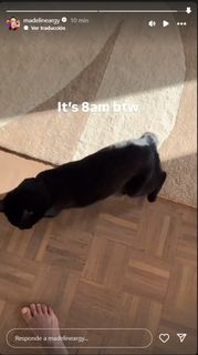 Madeline Argy feet photo thumbnail