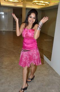 Madhavi Latha feet photo 18