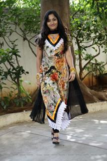 Madhavi Latha feet photo 20