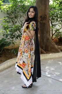 Madhavi Latha feet photo 16