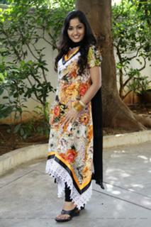 Madhavi Latha feet photo 11