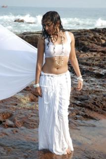 Madhavi Latha feet photo 13