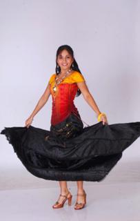 Madhavi Latha feet photo 9