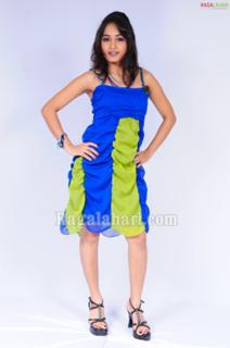 Madhavi Latha feet photo 7