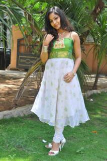 Madhavi Latha feet photo 12