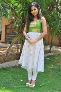 Madhavi Latha feet photo 10