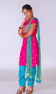 Madhavi Latha feet photo 7