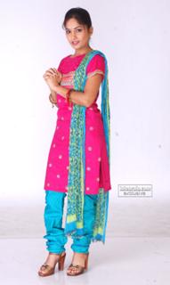 Madhavi Latha feet photo 4