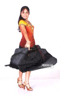 Madhavi Latha feet photo 16