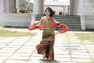 Madhavi Latha feet photo 15