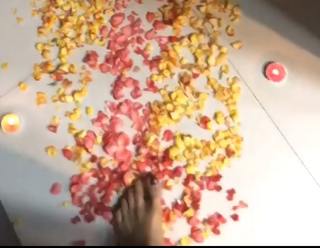 Madhoo feet photo 13