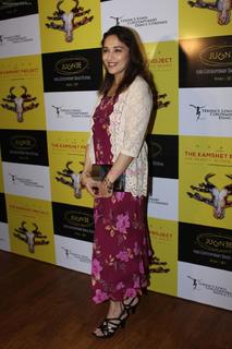 Madhuri Dixit feet photo thumbnail