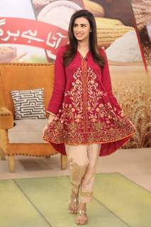 Madiha Naqvi feet photo 17