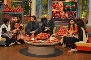 Madiha Naqvi feet photo 6