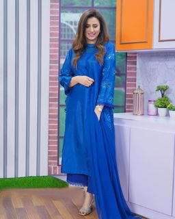 Madiha Naqvi feet photo 17