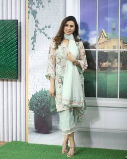 Madiha Naqvi feet photo 9