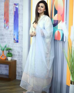 Madiha Naqvi feet photo 19
