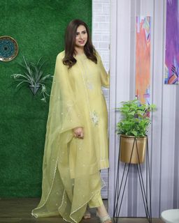 Madiha Naqvi feet photo 16