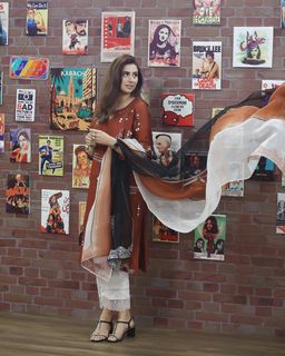 Madiha Naqvi feet photo 18