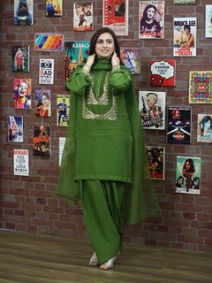 Madiha Naqvi feet photo 17