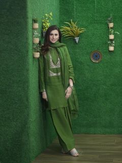 Madiha Naqvi feet photo 16