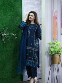 Madiha Naqvi feet photo 20