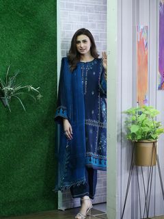 Madiha Naqvi feet photo 19