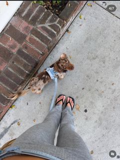 Madison Edwards feet photo 14