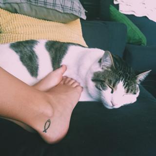 Madison Iseman feet photo thumbnail
