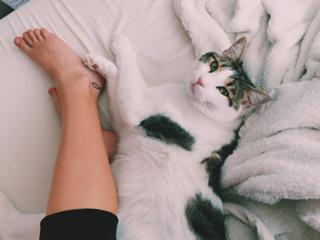 Madison Iseman feet photo thumbnail