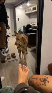 Madison Lewis feet photo thumbnail