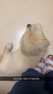 Madison Lewis feet photo thumbnail