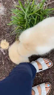 Madison Lewis feet photo thumbnail