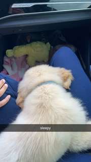 Madison Lewis feet photo thumbnail