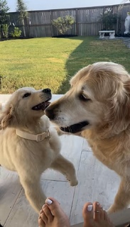 Madison Lewis feet photo thumbnail