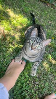 Madison Lintz feet photo thumbnail